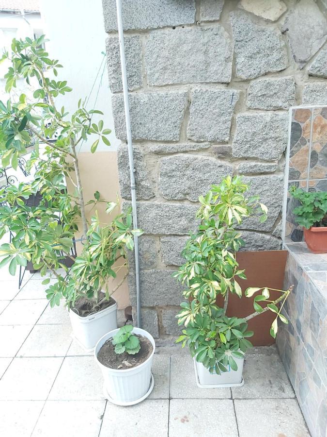 Kyshta Za Gosti Dari Rumi 1 Sozopol Bagian luar foto